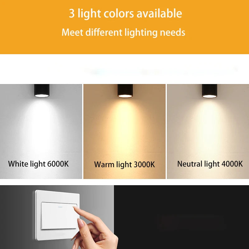 spot led monté en surface étanche avec tige de suspension