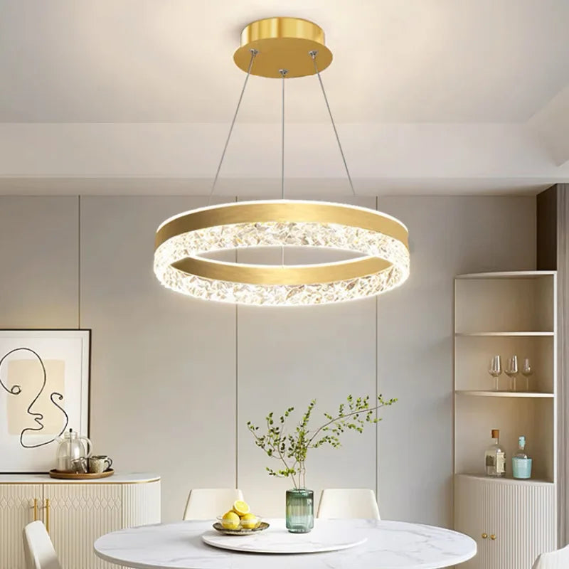 Lustre rond LED circulaire simple avec télécommande décorative