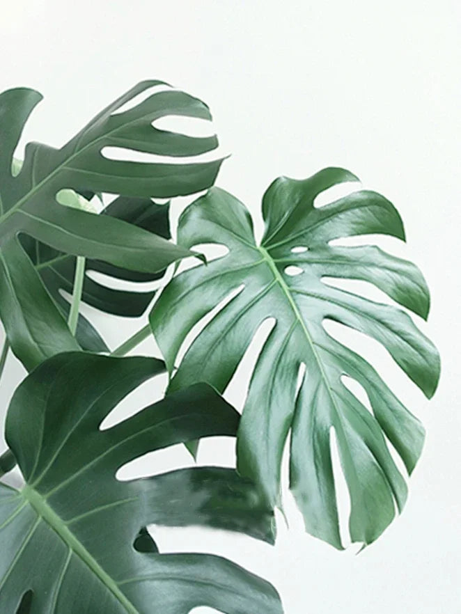 peinture diamant 5D plante verte broderie mosaïque décoration murale