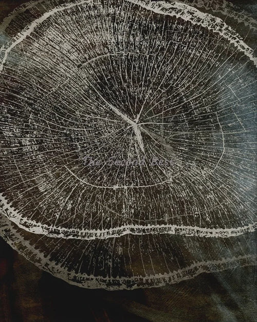 art abstrait sur anneaux d'arbres pour décoration intérieure