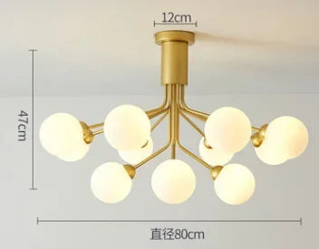 48426666033498|48426666197338