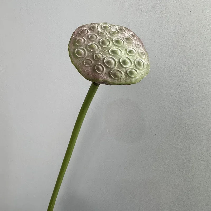 plantes artificielles lotus touché réel décoration florale pour intérieur