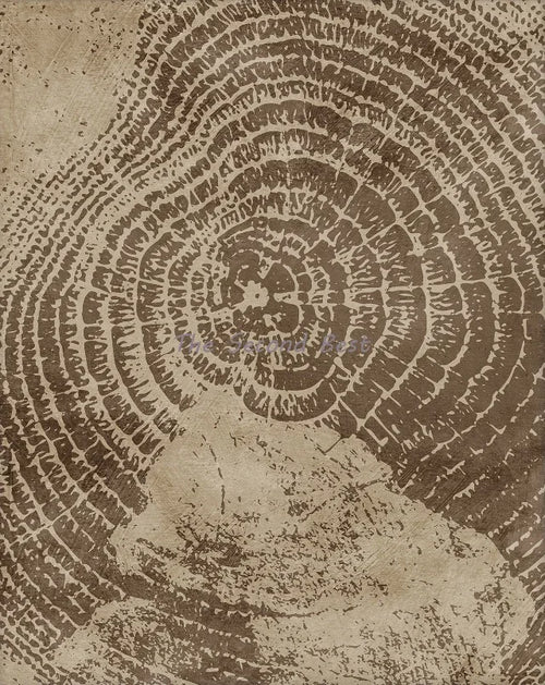 affiches abstraites sur les anneaux des arbres pour décoration intérieure