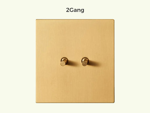 Interrupteur double 2 voies en acier brossé doré