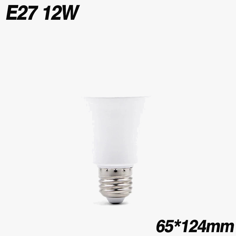ampoule-led-haute-luminosit-lumi-re-froide-et-chaude-8.png