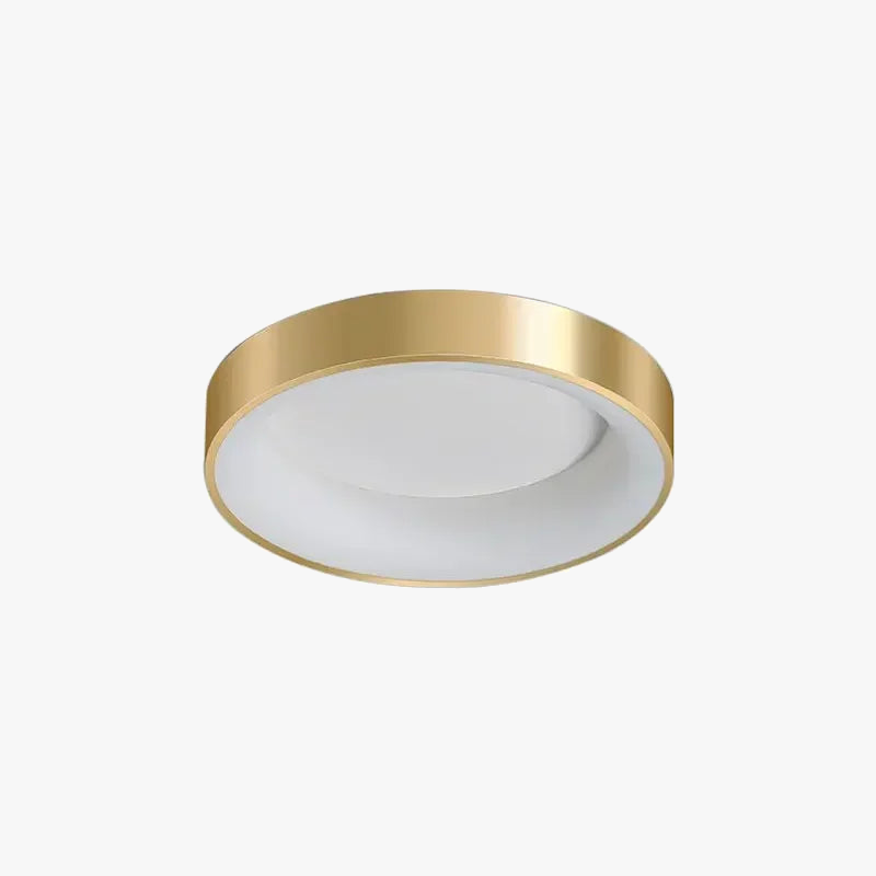 lampes-de-plafond-modernes-led-pour-int-rieur-simple-or-5.png