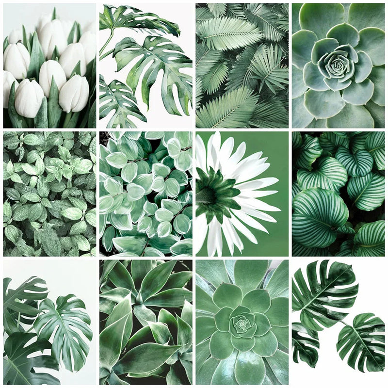 peinture-diamant-5d-cr-er-plante-verte-mosa-que-d-corative-compl-te-0.png