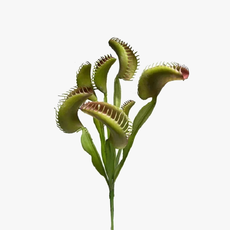 plante-artificielle-attrape-mouches-d-coration-tropicale-pour-bureau-2.png