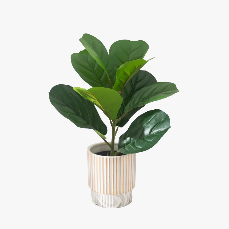 plantes-artificielles-ficus-banyan-pour-d-coration-int-rieure-et-ext-rieure-4.png