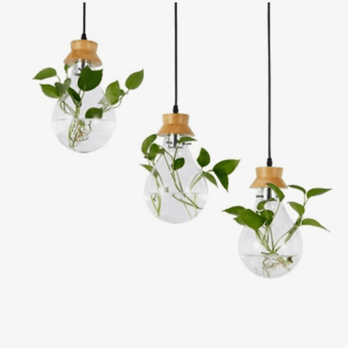 Suspension bocal en verre à fleur et support en bois