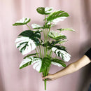plantes artificielles monstera grandes feuilles pour décoration intérieure