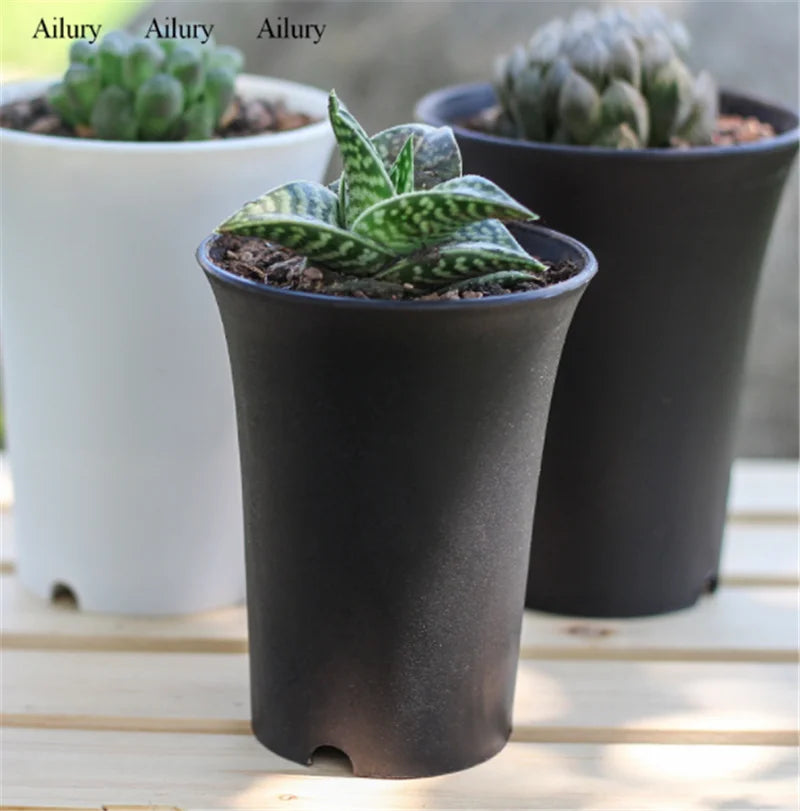 plante succulente pot en plastique épais style vintage rond - vue 5 sur 7