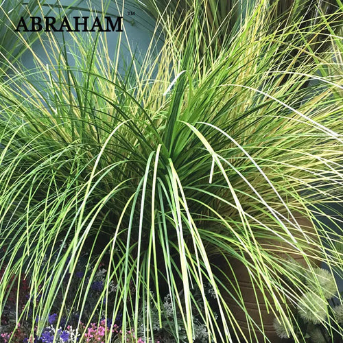 plantes de gazon artificiel réalistes pour décoration mariage boutique