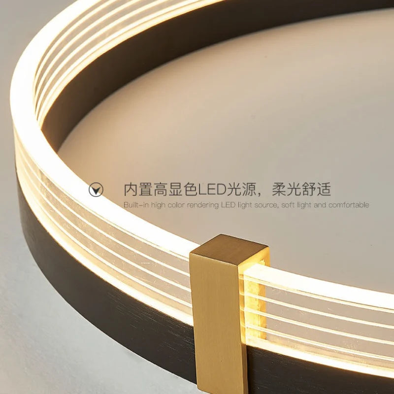lampe de plafond led minimaliste avec télécommande luxueuse