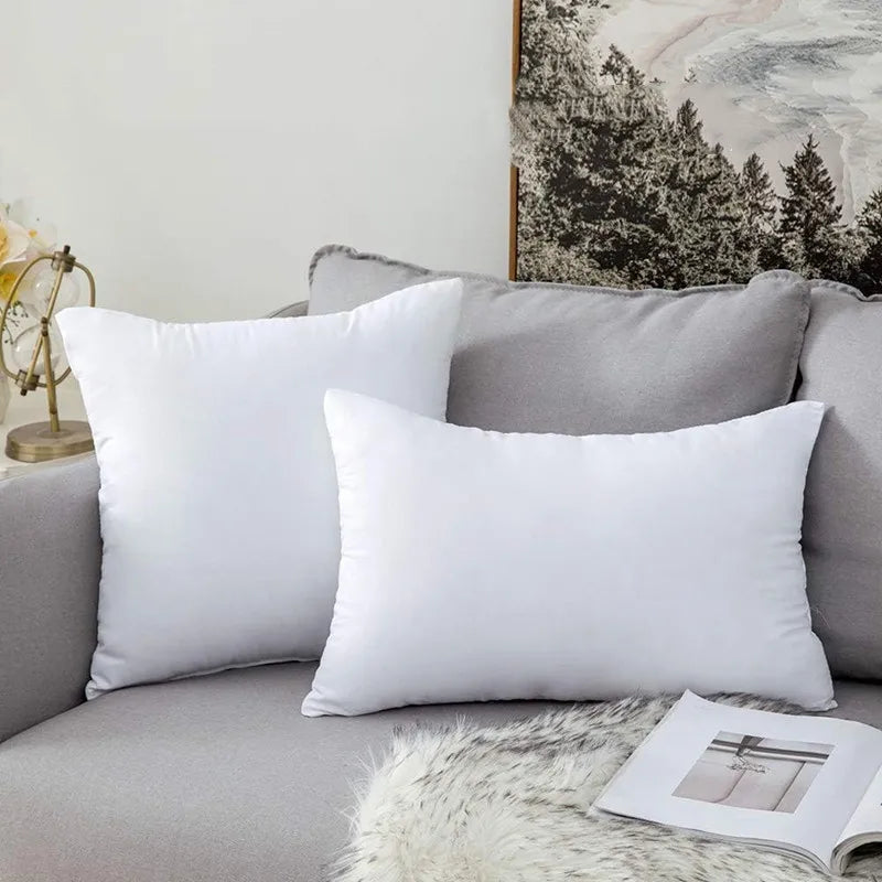 coussins décoratifs doux et moelleux pour intérieur