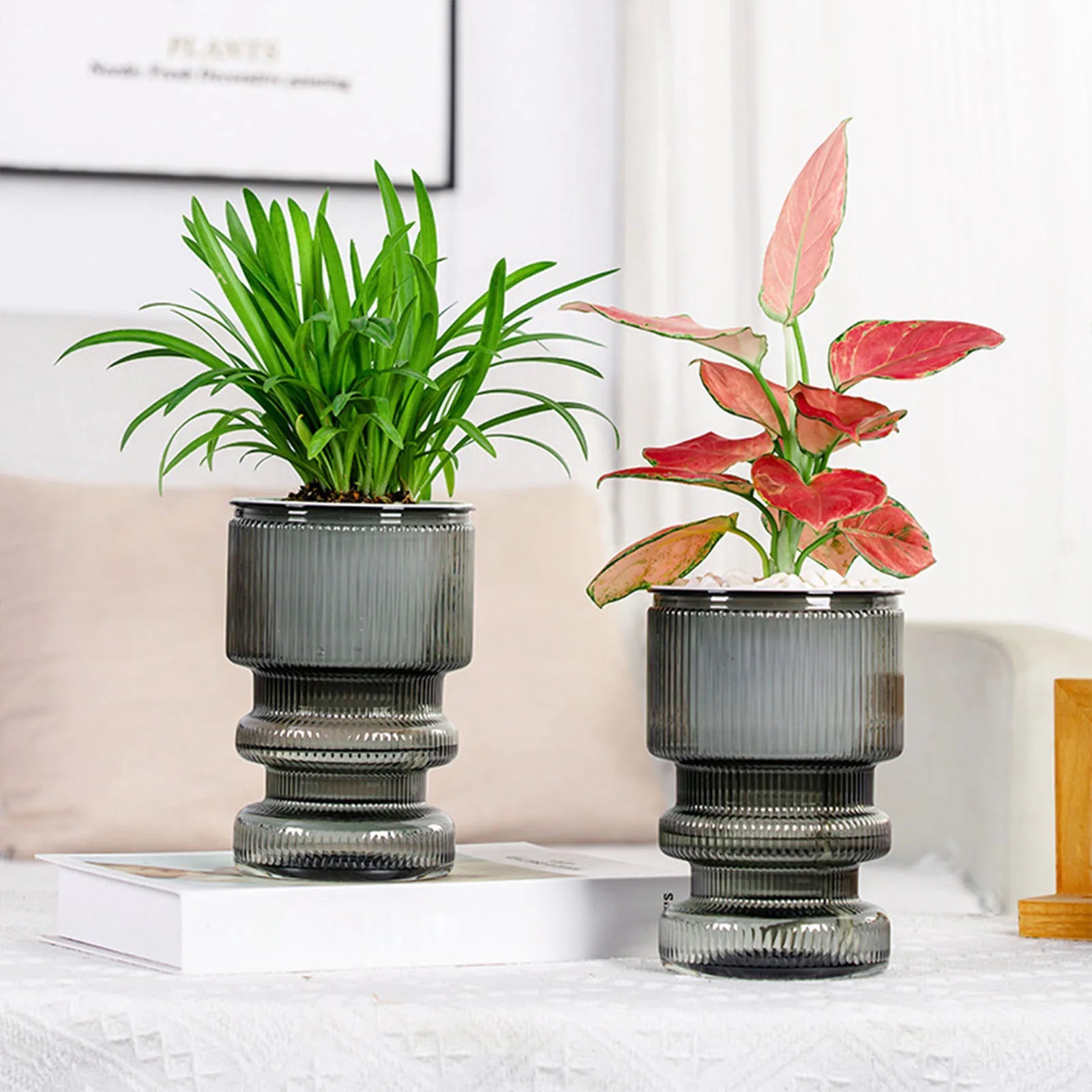 pot de fleurs hydroponique avec arrosage automatique décoration jardin