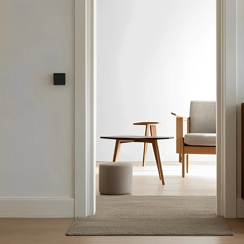 Prise électrique et double USB et USB type C en acier noir mat