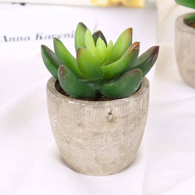 plantes succulentes artificielles pour décoration intérieure moderne - vue 10 sur 13
