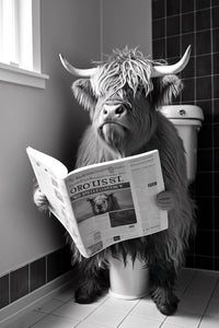 décoration murale humoristique animaux lisant le journal toilettes