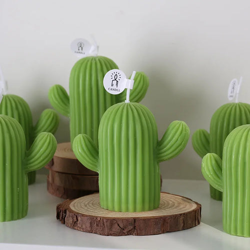bougies parfumées cactus en cire de soja pour décoration et accessoires photo
