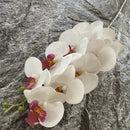 phalaenopsis artificiel orchidée décorative pour mariage et jardin