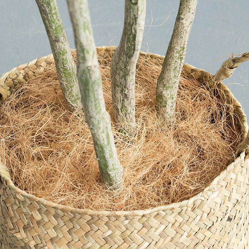 cocotier artificiel grande plante verte pour décoration intérieure - vue 11 sur 15