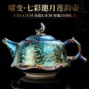 Théière jianzhan tianmu céramique émaillée motif artisanal bureau