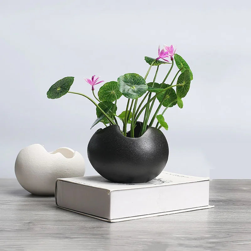 pot de fleurs hydroponique rétro en céramique pour plantes succulentes - vue 5 sur 9