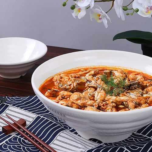 bol ramen melamine epais resistant style japonais cuisine