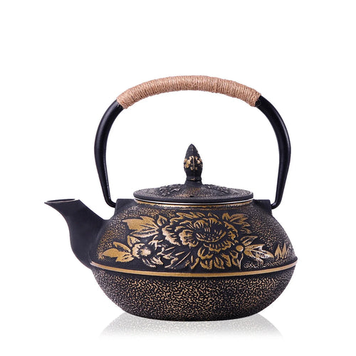 Théière japonaise fonte émaillée avec infuseur filtre maille