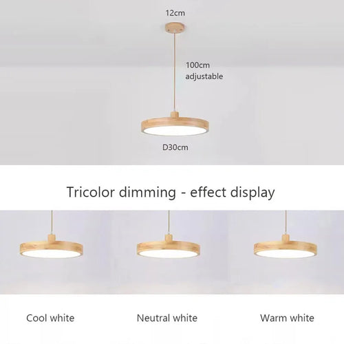 Lustre LED japonais à tête unique en rondins