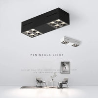 projecteurs led 	montés en surface avec gradation intelligente