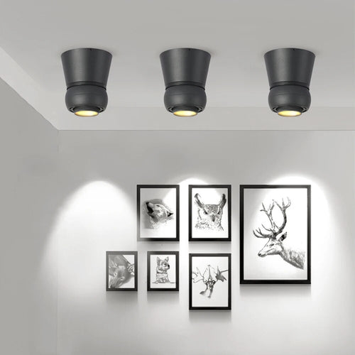 Spot Projecteur LED en boule 360°