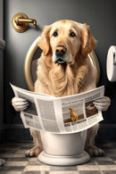 décoration murale humoristique animaux sur toilettes avec journal