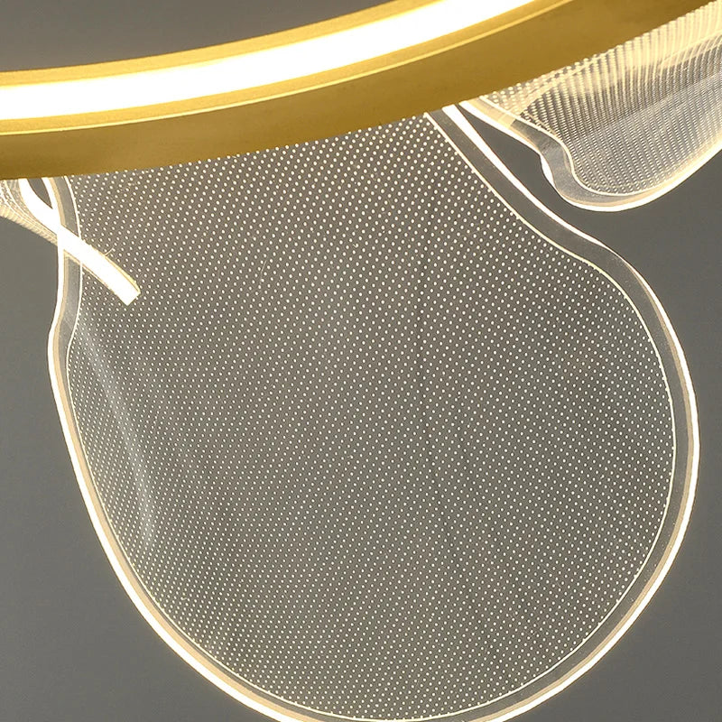 lustre en acrylique transparent avec anneau doré gradation variable - vue 6 sur 10