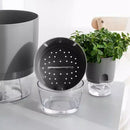 pot de fleurs auto-arrosant en plastique pour plantes succulentes