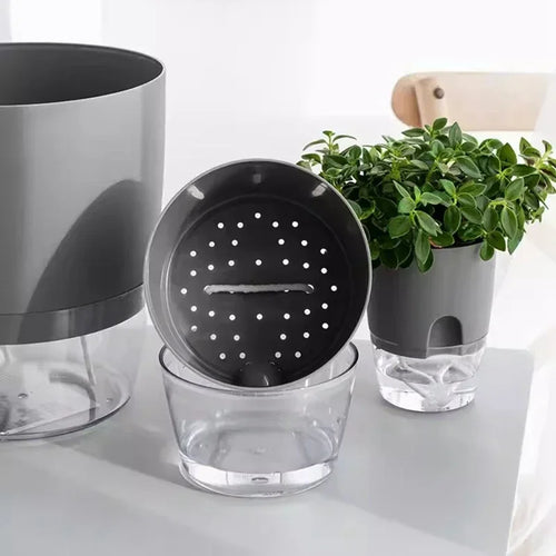 pot de fleurs auto-arrosant en plastique pour plantes succulentes