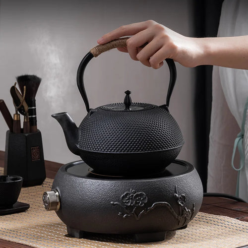 Bouilloire en fonte style kung fu avec filtre
