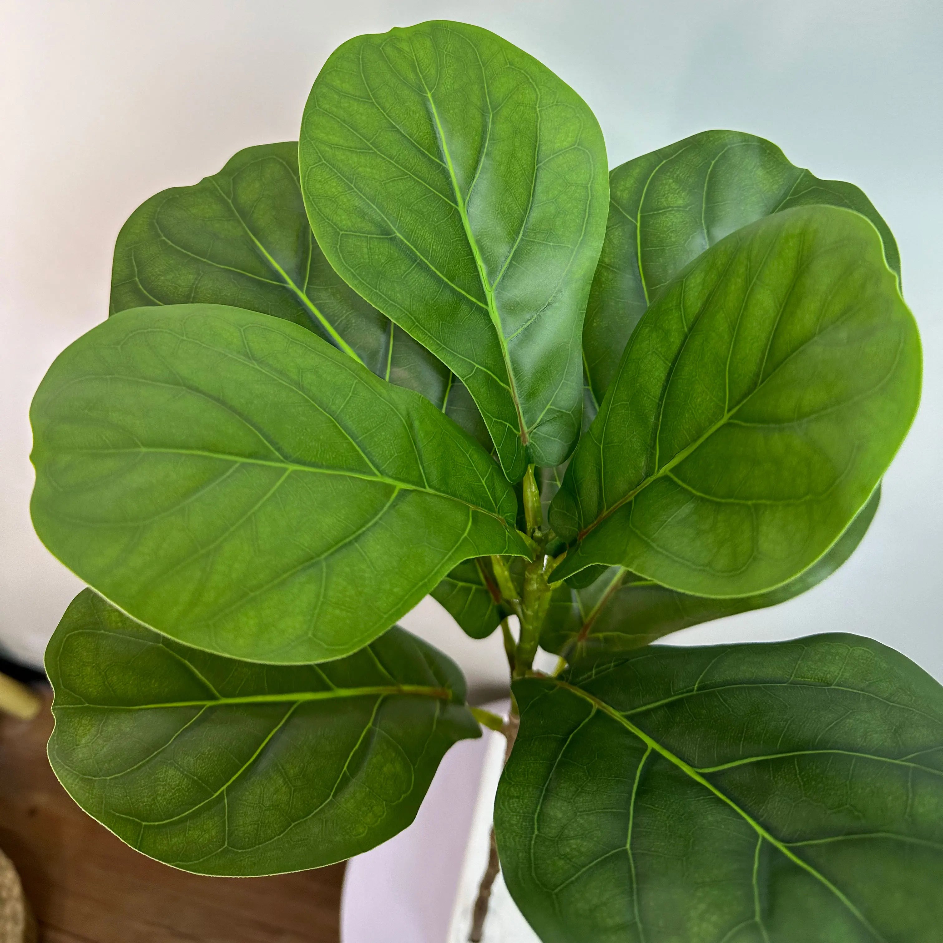 branches artificielles de ficus grandes feuilles pour décoration intérieure et extérieure - vue 7 sur 14