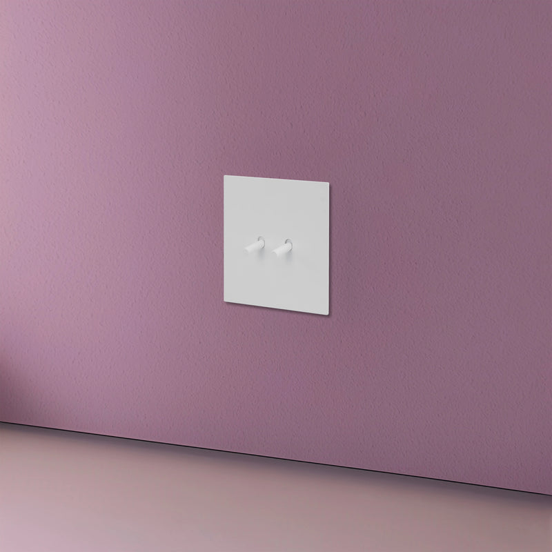 Prise électrique double (Europe) en acier blanc mat