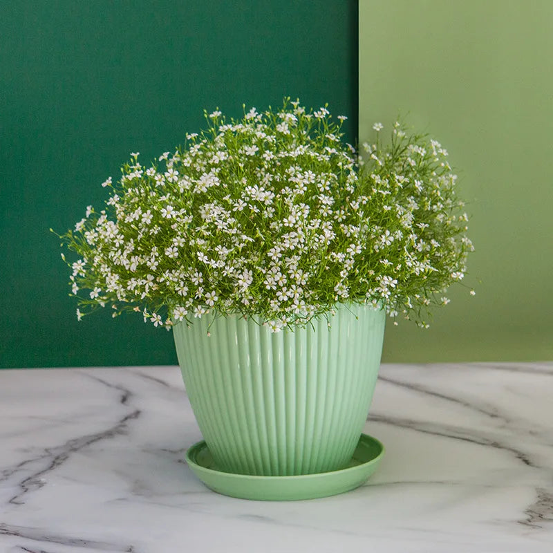pot de fleurs rond pour succulentes avec plateau décoratif extérieur - vue 5 sur 10