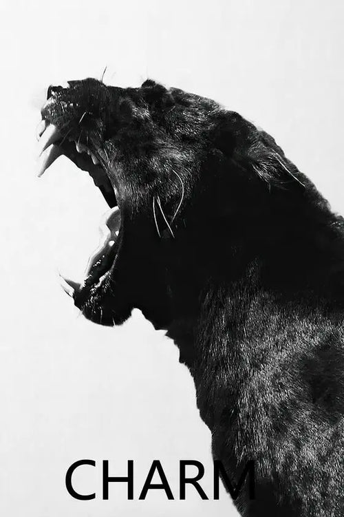 affiche de parfum nordique décoration minimaliste pour chambre filles