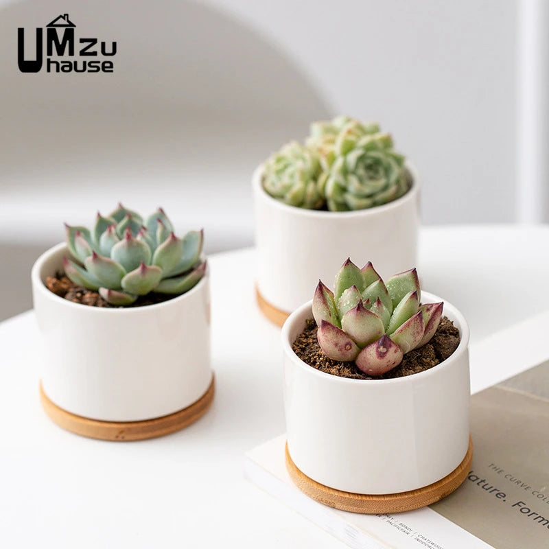 lot de 2 pots en céramique avec drainage pour plantes d'intérieur - vue 6 sur 7