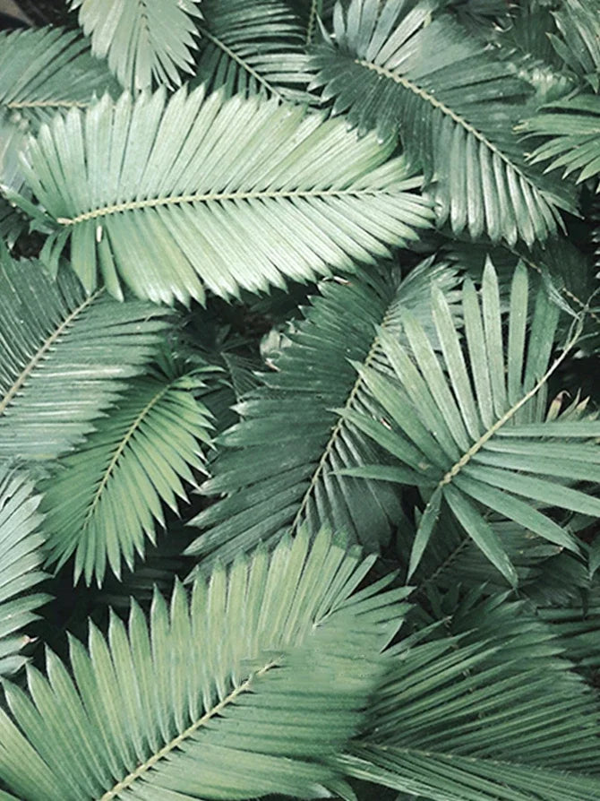 peinture diamant 5d plante verte broderie mosaïque décoration murale