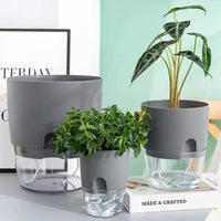 pot de fleurs auto-arrosant en plastique pour plantes succulentes