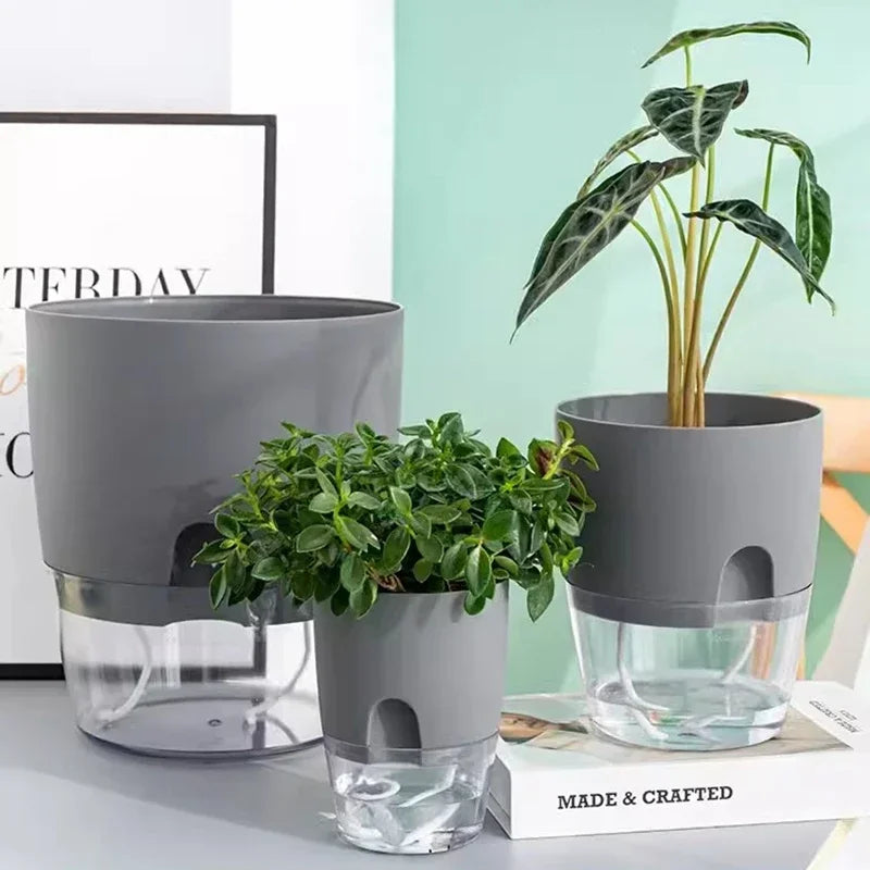 pot de fleurs auto-arrosant en plastique pour plantes succulentes