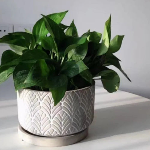 moule en silicone pour pot de fleurs béton motif feuilles