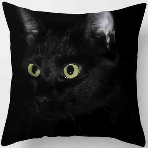 housse de coussin carrée chat noir pour déco intérieure