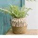 panier en osier tressé pour rangement et décoration polyvalente - vue 17 sur 18