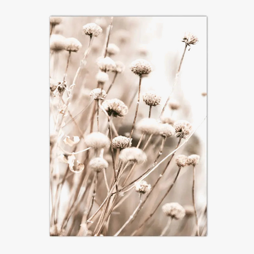 affiches-de-roseaux-feuilles-d-coration-murale-nature-0.png